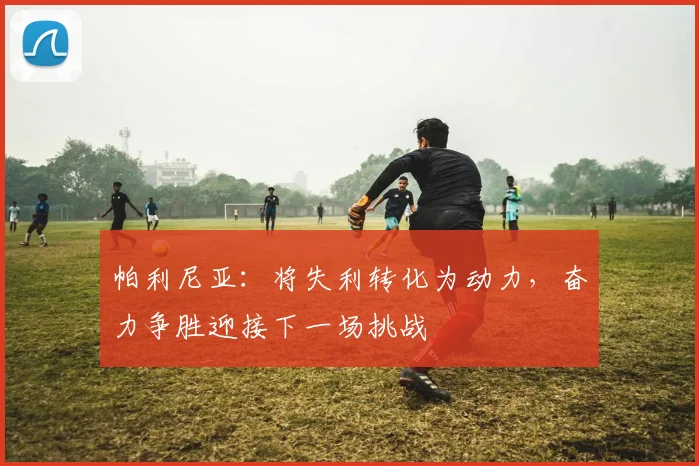 帕利尼亚：将失利转化为动力，奋力争胜迎接下一场挑战
