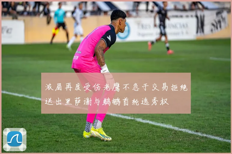 浓眉再度受伤老鹰不急于交易拒绝送出里萨谢与鹈鹕首轮选秀权